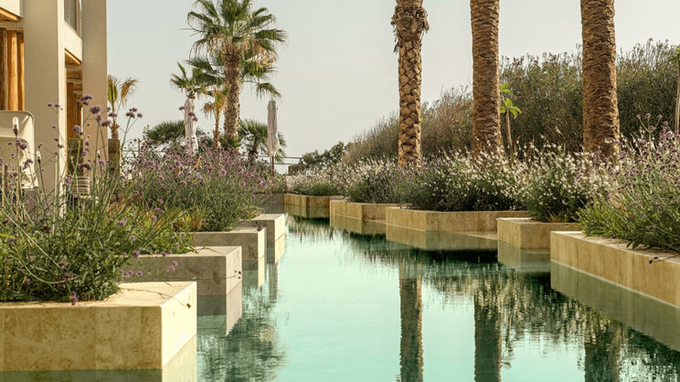 Superior Double Swim Up Sharing Pool